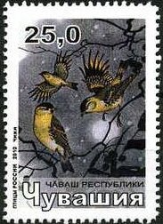 Stamp, Birds, Cinderellas,  , Animals (Fauna), Birds, Birds of Prey