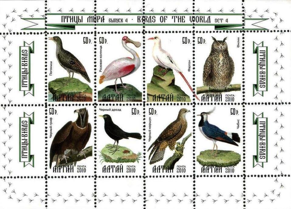 Birds of the World