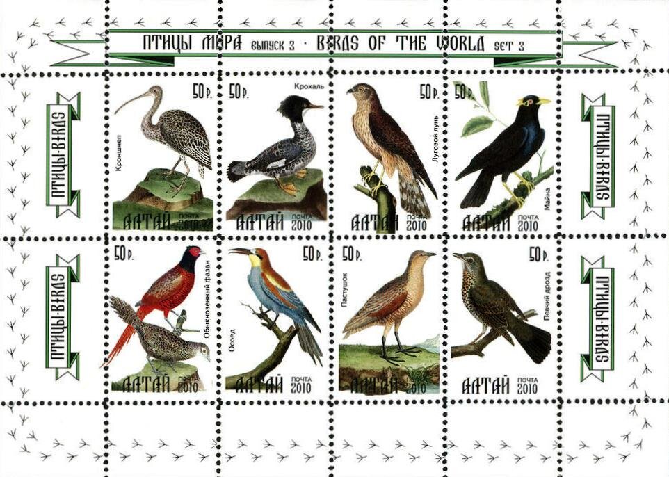 Birds of the World