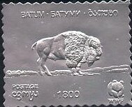 Bison