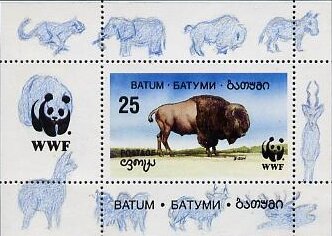 Bison