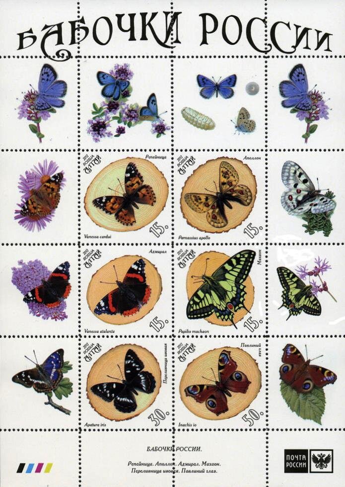 Butterflies