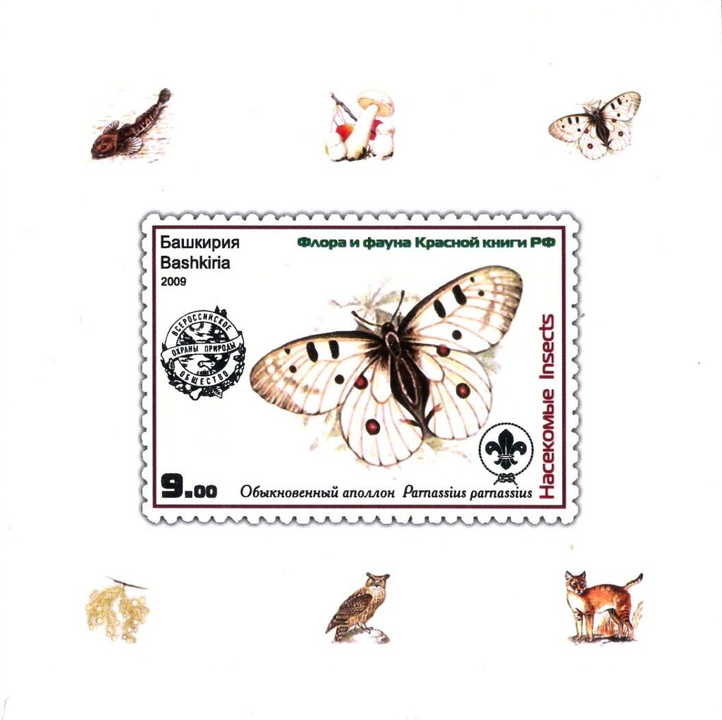 Butterflies