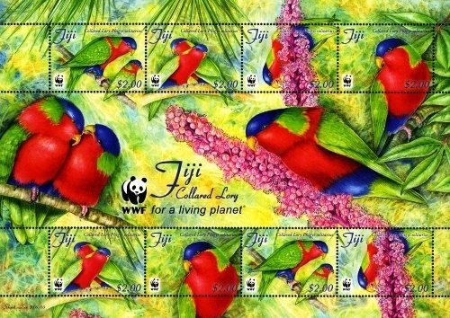 Collared Lory (Phigys solitarius)