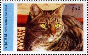 Stamp, Cat, Cinderellas,  , Animals (Fauna), Cats