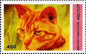 Stamp, Cat, Cinderellas,  , Animals (Fauna), Cats