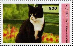 Stamp, Cat, Cinderellas,  , Animals (Fauna), Cats