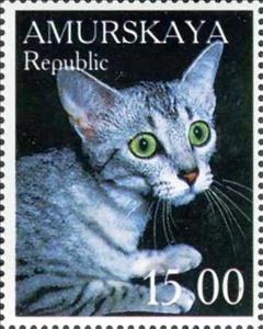 Stamp, Cat, Cinderellas,  , Animals (Fauna), Cats