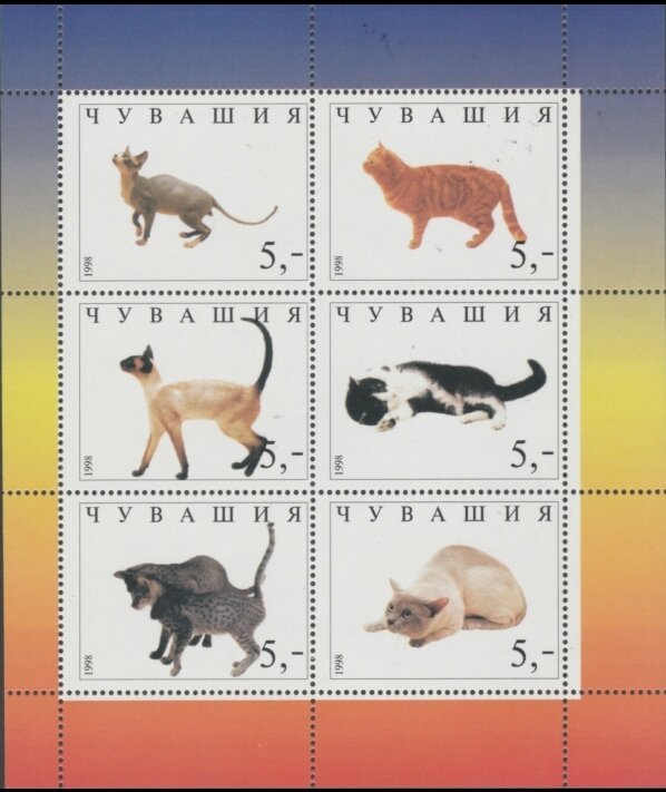 Cats