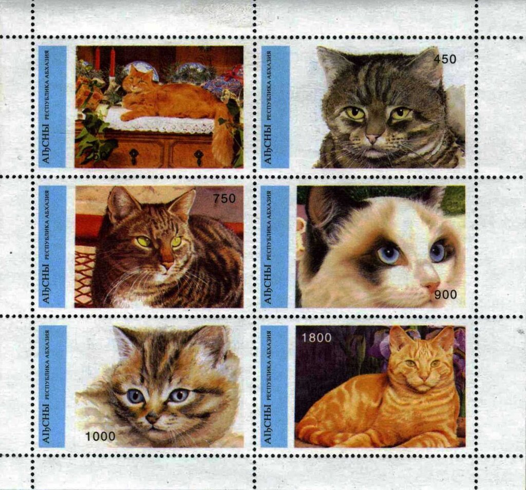 Cats