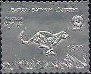 Cheetah