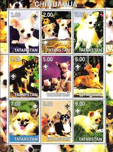 Mini Sheet, Chihuahua, Cinderellas,  , Animals (Fauna), Dogs
