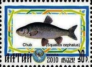 Stamp, Chub, Cinderellas,  , Animals (Fauna), Fishes