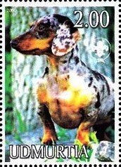 Stamp, Dachshund, Cinderellas,  , Animals (Fauna), Dogs