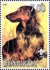 Stamp, Dachshund, Cinderellas,  , Animals (Fauna), Dogs