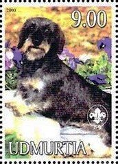Stamp, Dachshund, Cinderellas,  , Animals (Fauna), Dogs