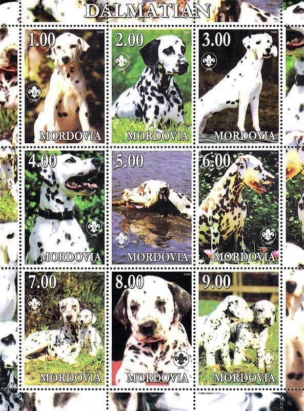 Dalmatian