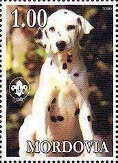 Stamp, Dalmatian, Cinderellas,  , Animals (Fauna), Dogs