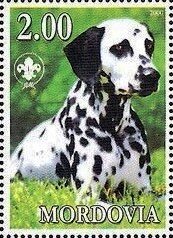 Stamp, Dalmatian, Cinderellas,  , Animals (Fauna), Dogs