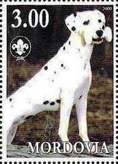 Dalmatian