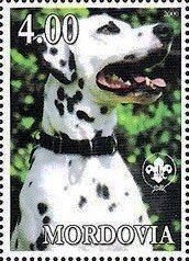 Dalmatian