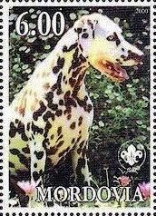 Dalmatian