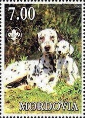 Dalmatian
