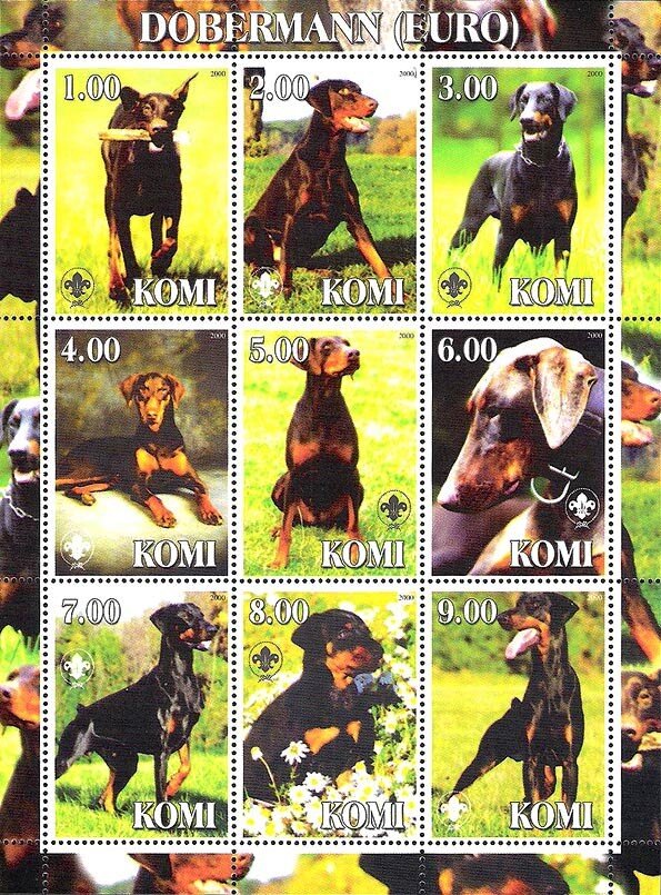 Dobermann