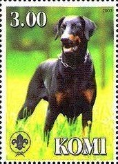 Dobermann