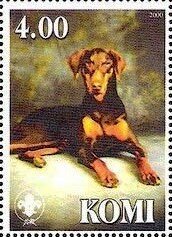 Dobermann