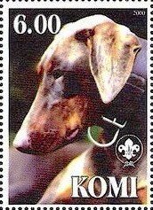Stamp, Dobermann, Cinderellas,  , Animals (Fauna), Dogs