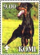 Dobermann