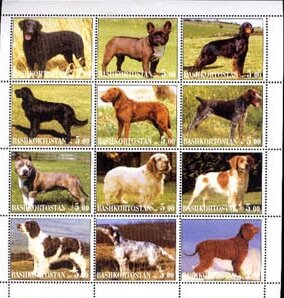 Dogs