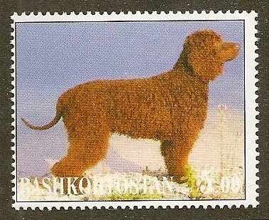 Dogs