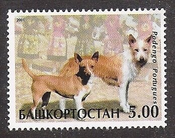 Dogs