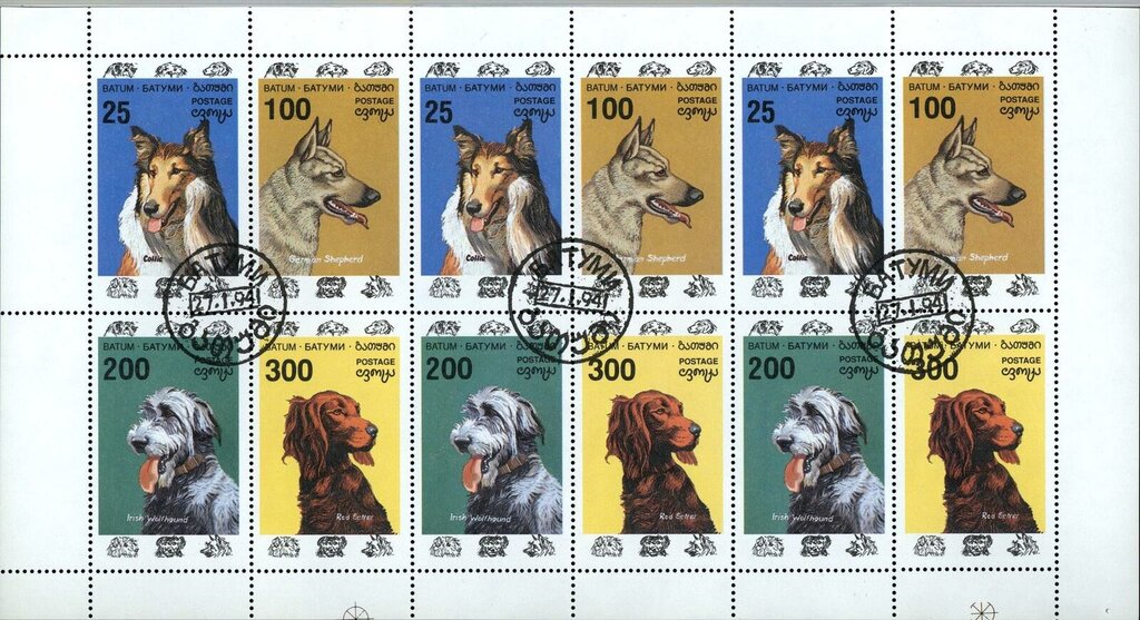 Dogs
