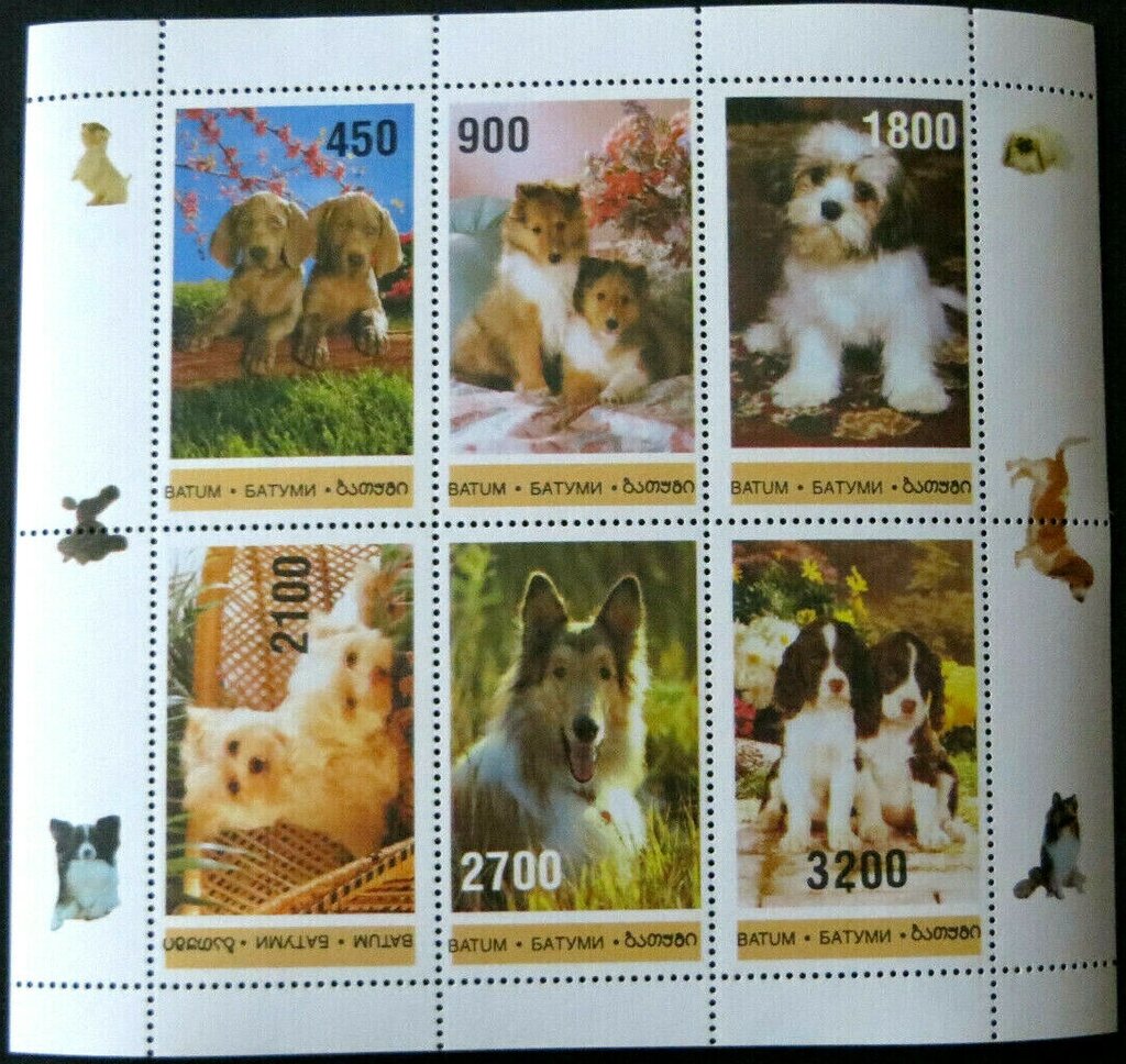 Dogs