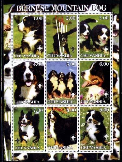 Dogs