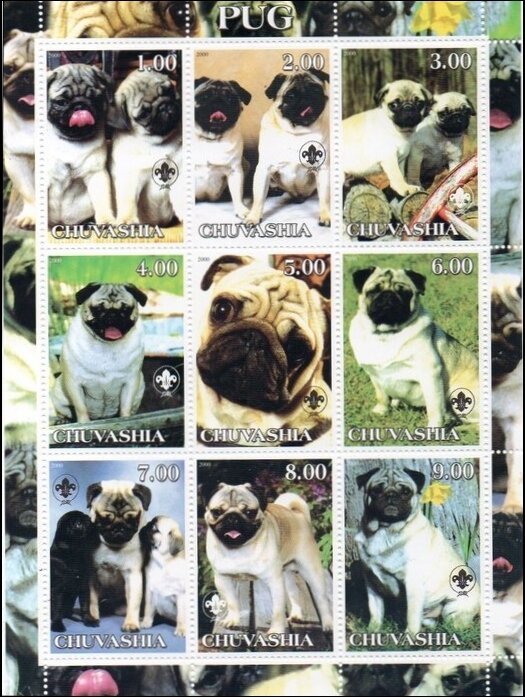 Dogs
