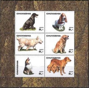 Dogs