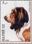 Stamp, Dogs, Cinderellas,  , Animals (Fauna), Dogs