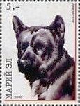 Stamp, Dogs, Cinderellas,  , Animals (Fauna), Dogs