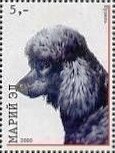 Stamp, Dogs, Cinderellas,  , Animals (Fauna), Dogs