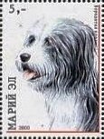 Dogs