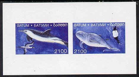 Dolphins