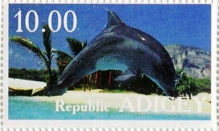 Dolphins