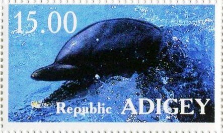 Dolphins