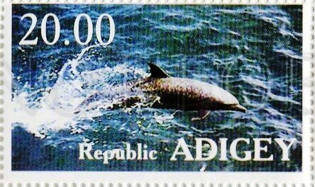 Dolphins
