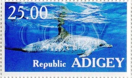 Dolphins