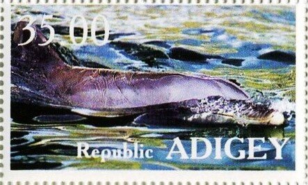 Stamp, Dolphins, Cinderellas,  , Animals (Fauna), Dolphins
